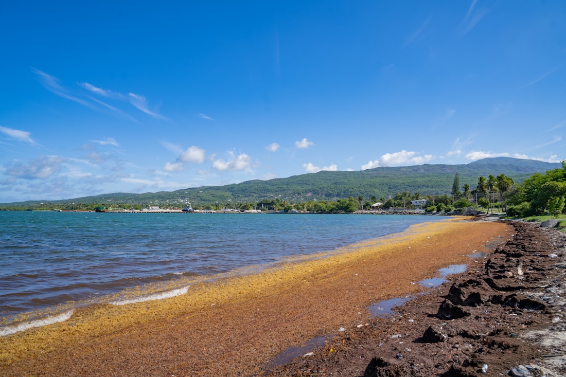 Pebble beach below the mountains — Barahona & the Southwest, Dominican Republic