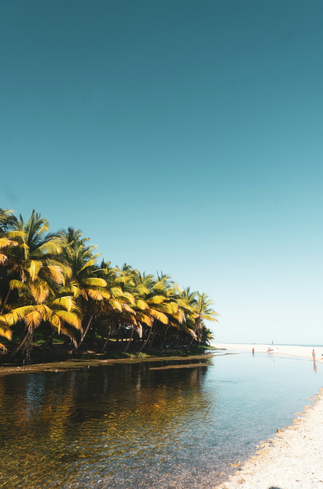 Still, clear southwestern water — Barahona & the Southwest, Dominican Republic
