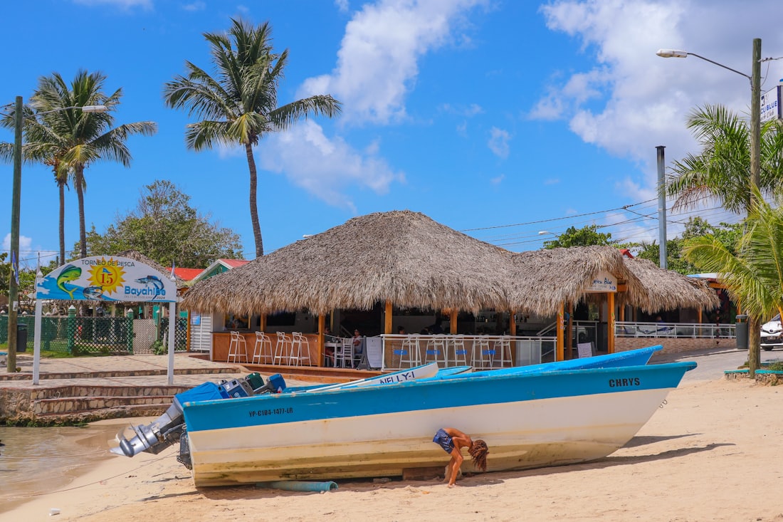 A thatched beach bar by the water — Bayahíbe & La Romana, Dominican Republic
