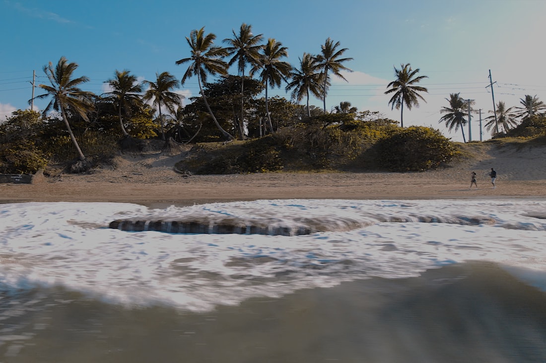 A surfer on the wind-swept north shore — Puerto Plata & Cabarete, Dominican Republic