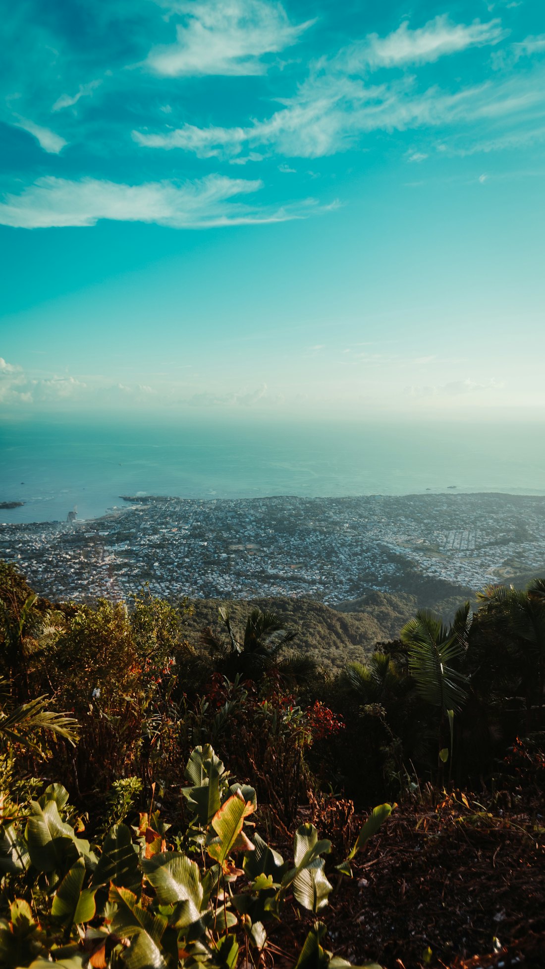 Town and ocean from Mount Isabel — Puerto Plata & Cabarete, Dominican Republic