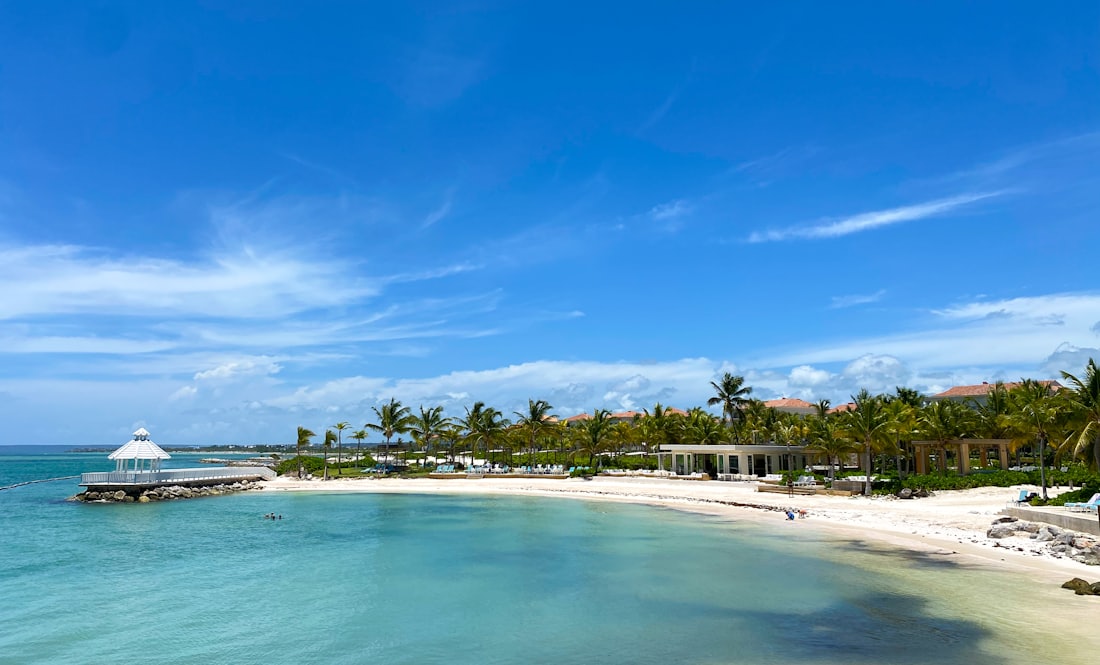 A palm-lined beach and calm blue sea — Punta Cana, Dominican Republic