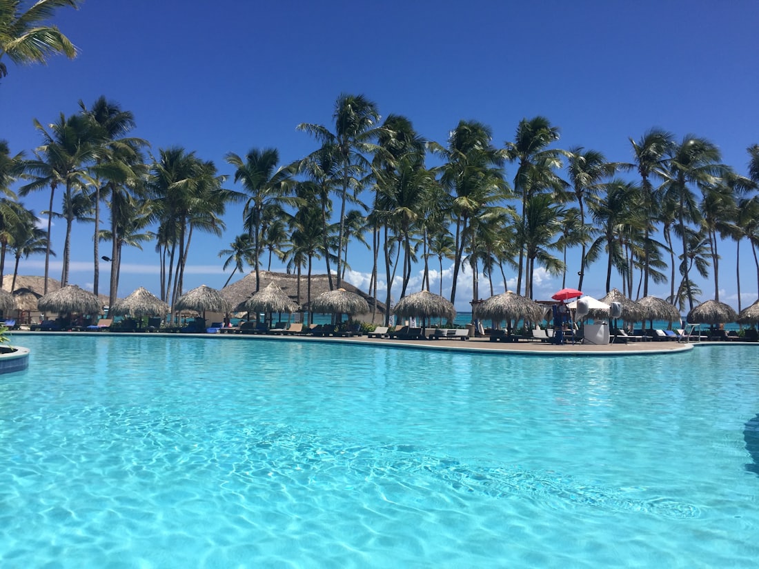 Resort infinity pool among the palms — Punta Cana, Dominican Republic