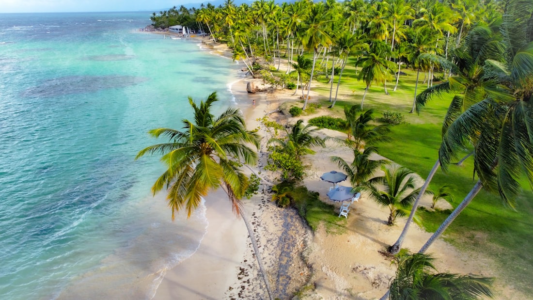 The green coastline from above — Samaná & Las Terrenas, Dominican Republic