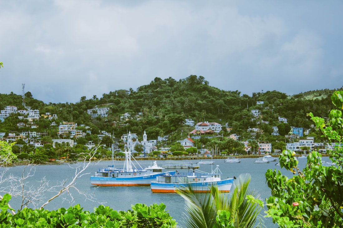 Boats moored below green mountains — Samaná & Las Terrenas, Dominican Republic
