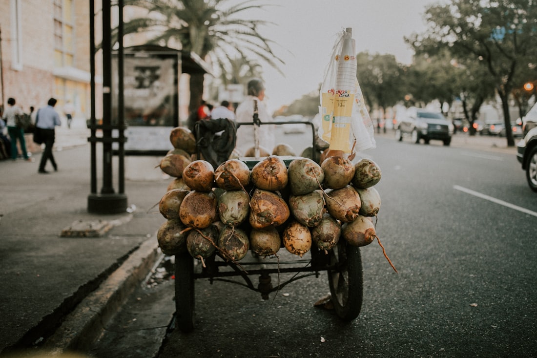 A street fruit cart in the old city — Santo Domingo, Dominican Republic
